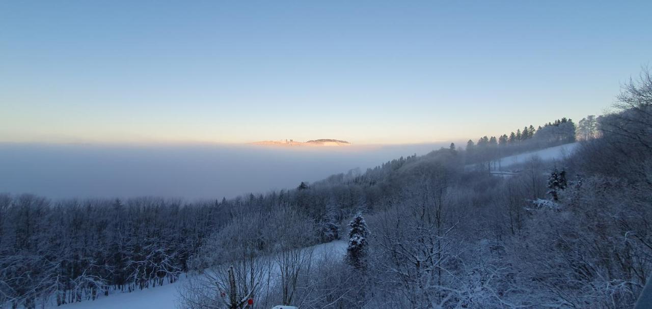 Ferienwohnungen Eismecke เบสต์วิก ภายนอก รูปภาพ